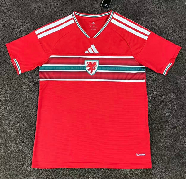 Camiseta Gales Local Mundial 2026 frontal