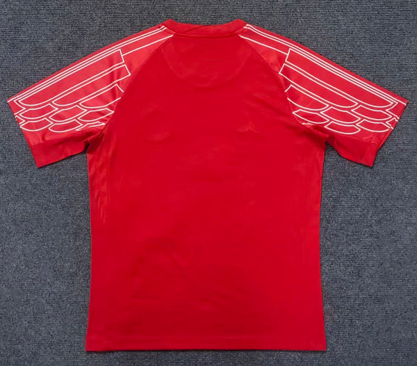 Camiseta PSG Especial roja y blanca 24-25 trasera