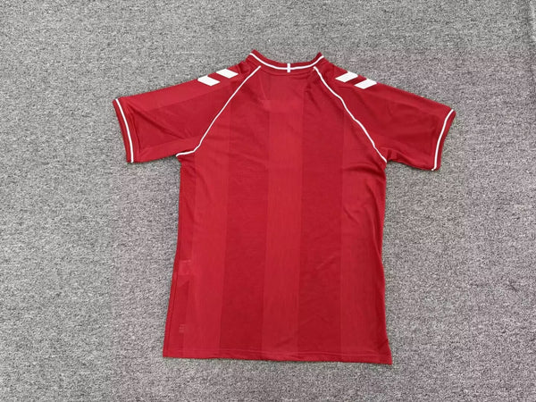 Camiseta Dinamarca Local Mundial 2026 trasera