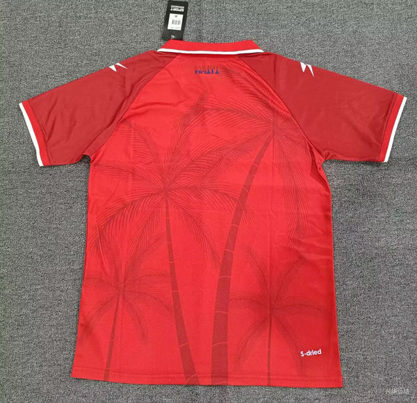 Camiseta Haití Tercera Equipación Mundial 2026 trasera