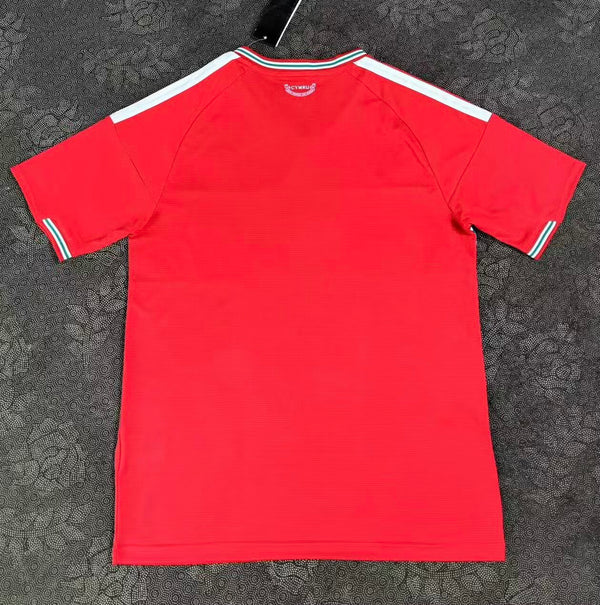 Camiseta Gales Local Mundial 2026 trasera