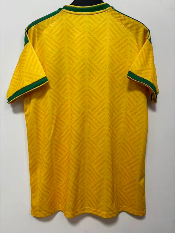 Camiseta Sudáfrica Local Mundial 2026 trasera