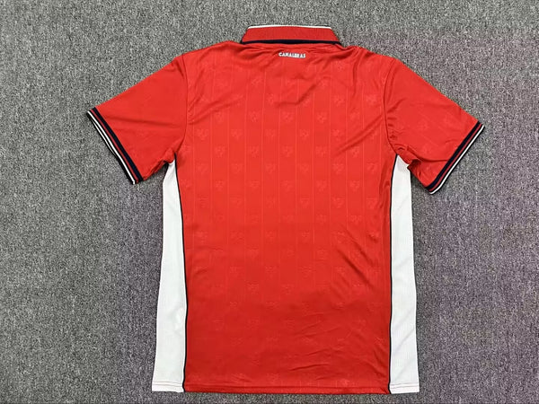 Camiseta Panamá Local Mundial 2026 trasera
